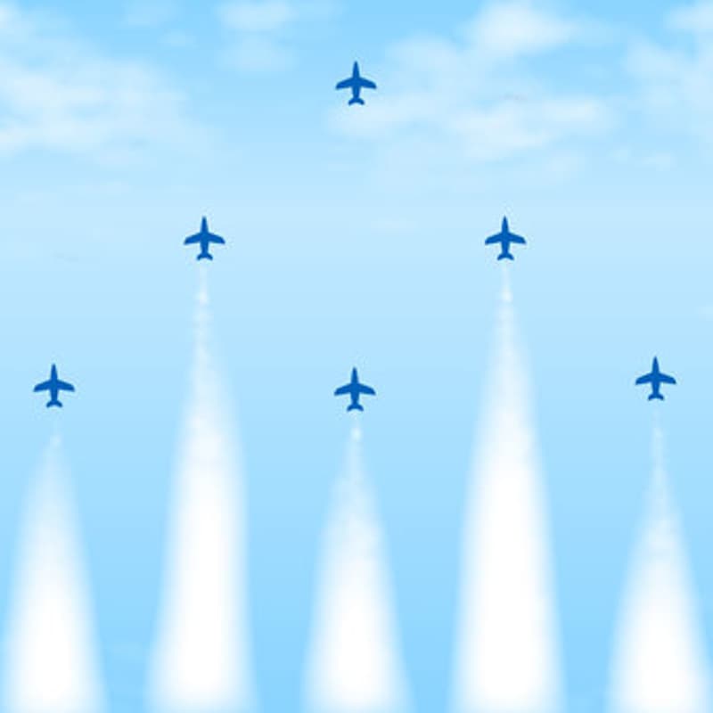 Cover Image for Annual Fleet Week Picnic