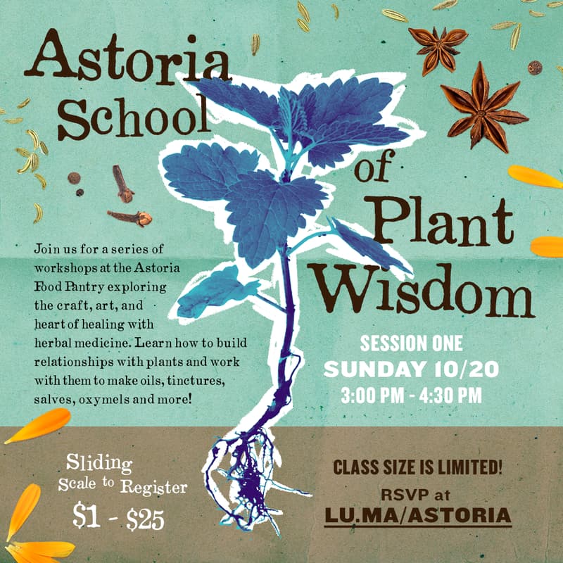 Cover Image for Session One: Infusions