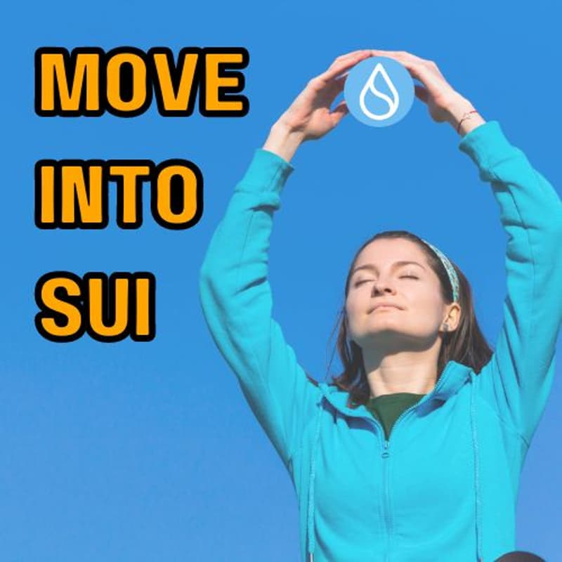 Cover Image for Move Into Sui: OriginByte NFT