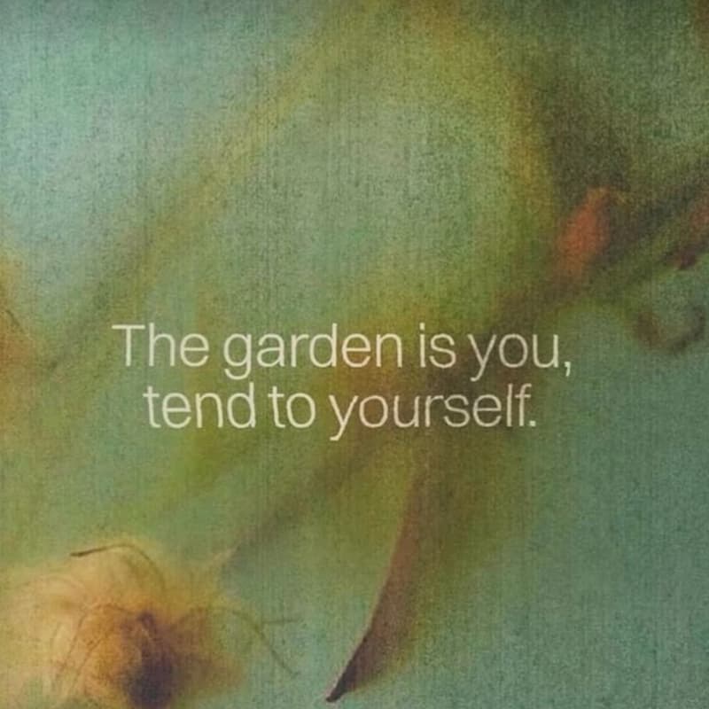 Cover Image for Write & Regulate - A Virtual Drop-in Circle