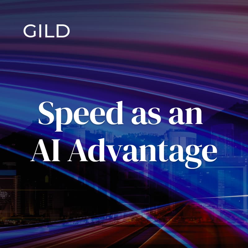 Cover Image for Speed as an AI Advantage