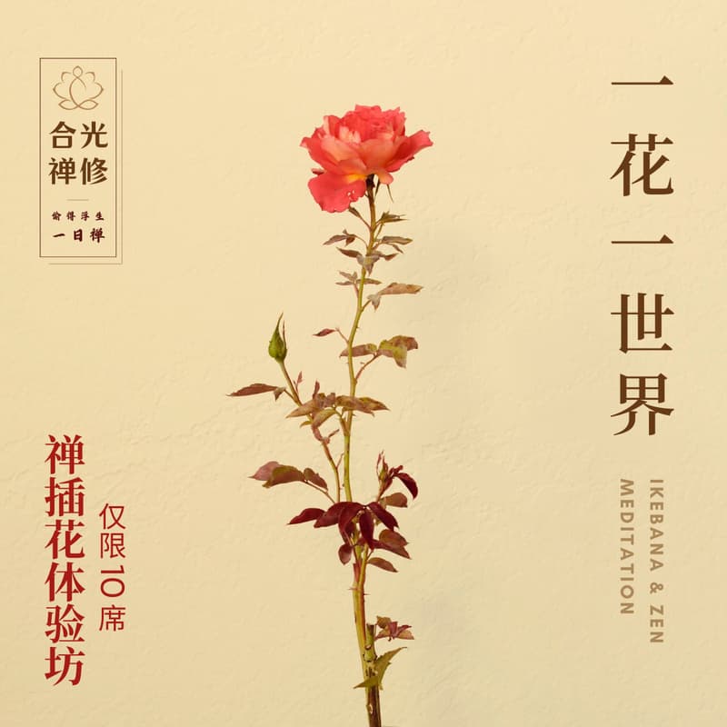 【合光一日禅】插花 工作坊 的封面图片