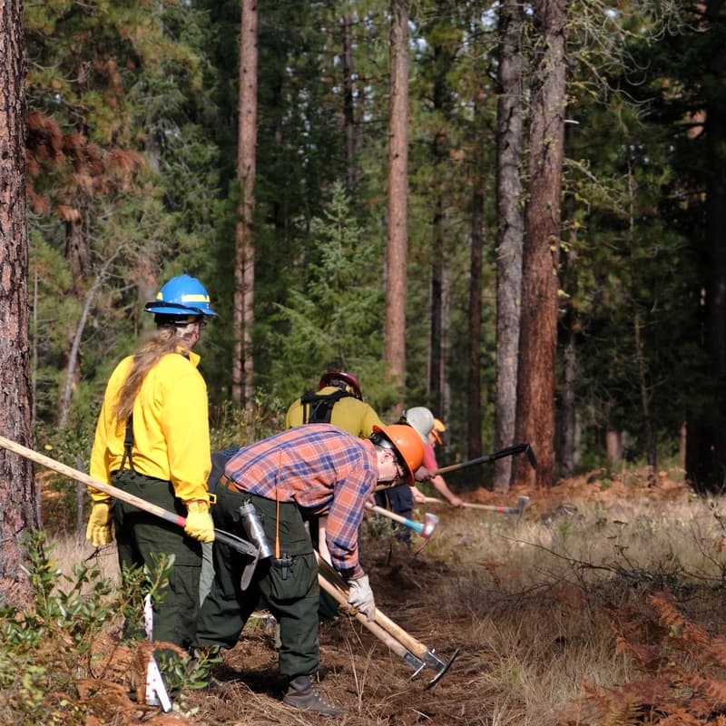Cover Image for Mill Pond Trail Work Party