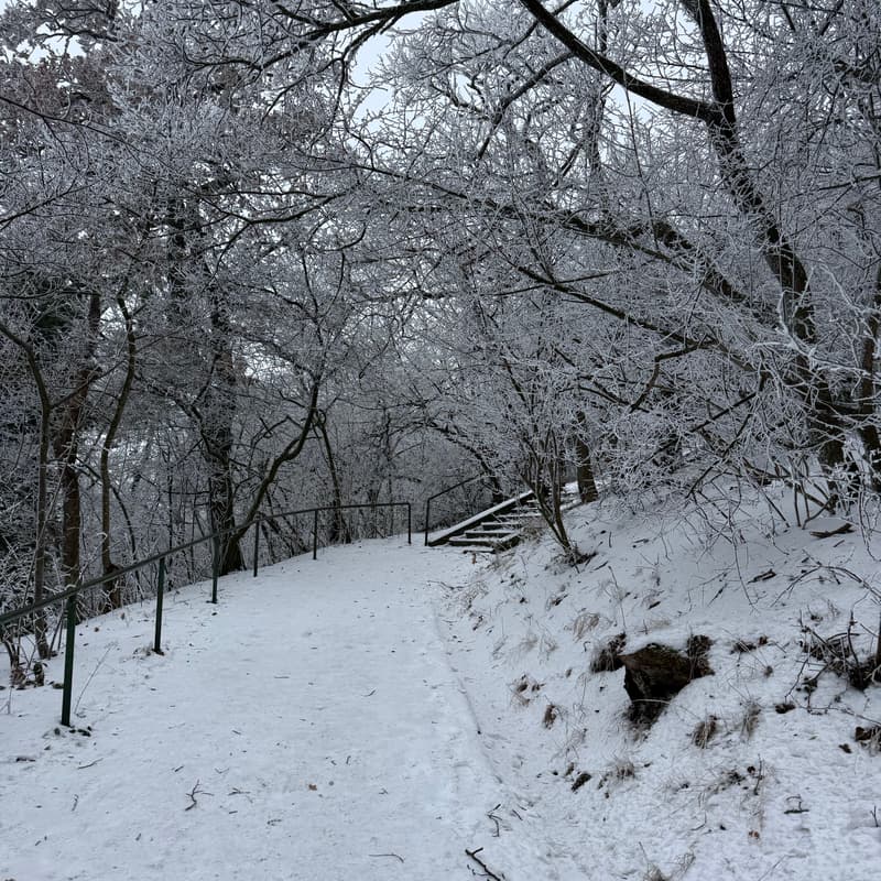 Cover Image for Stadtwanderweg 4a - Ottakring - Flinta Only