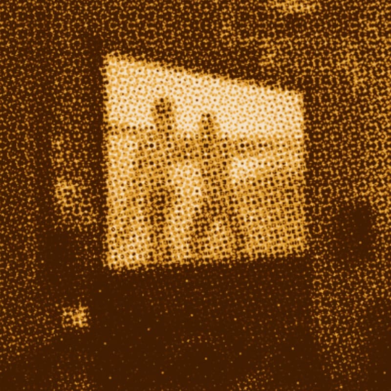 Cover Image for Work in Progress Screening