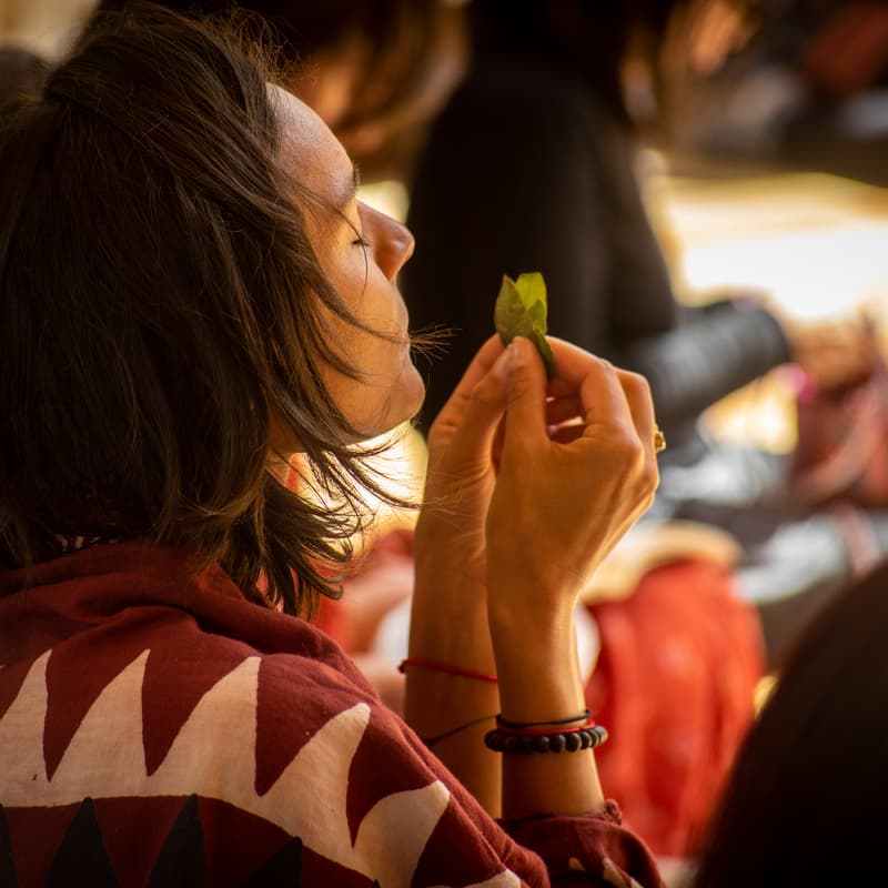 Cover Image for Online Meditation