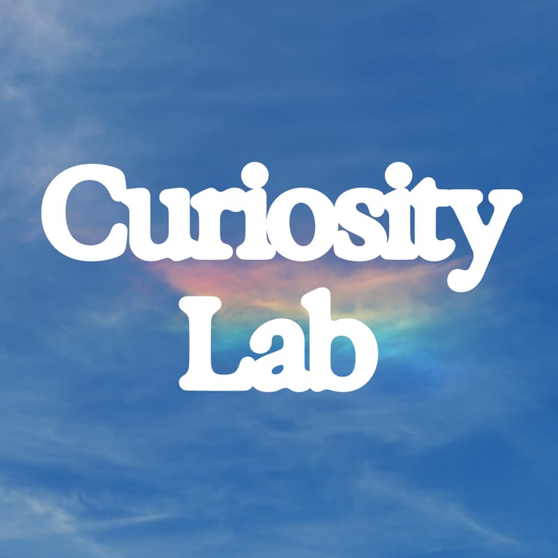 Cover Image for 🌀 Curiosity Lab