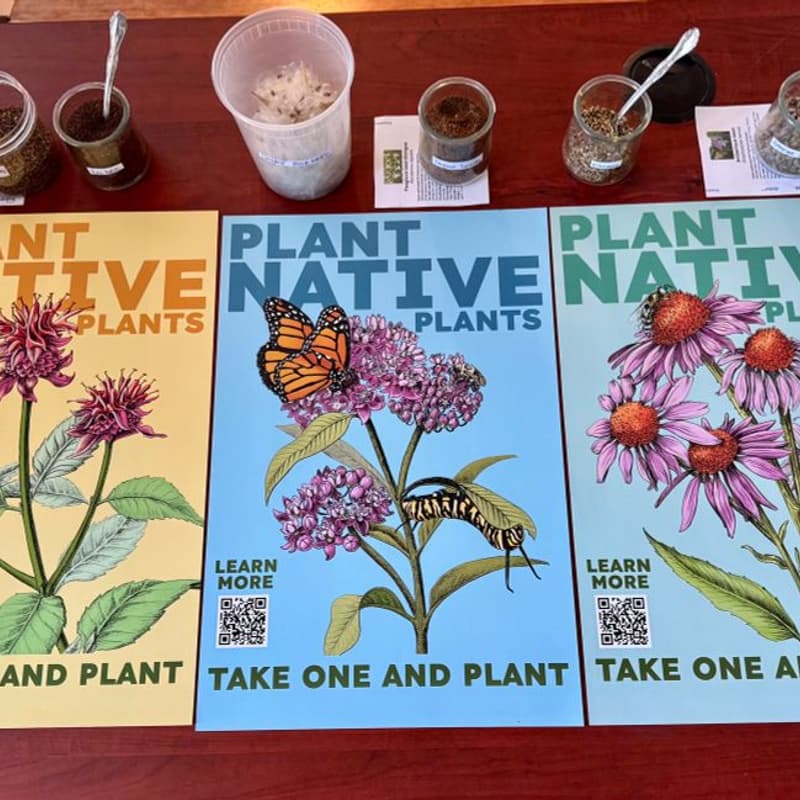 Cover Image for Seedapalooza