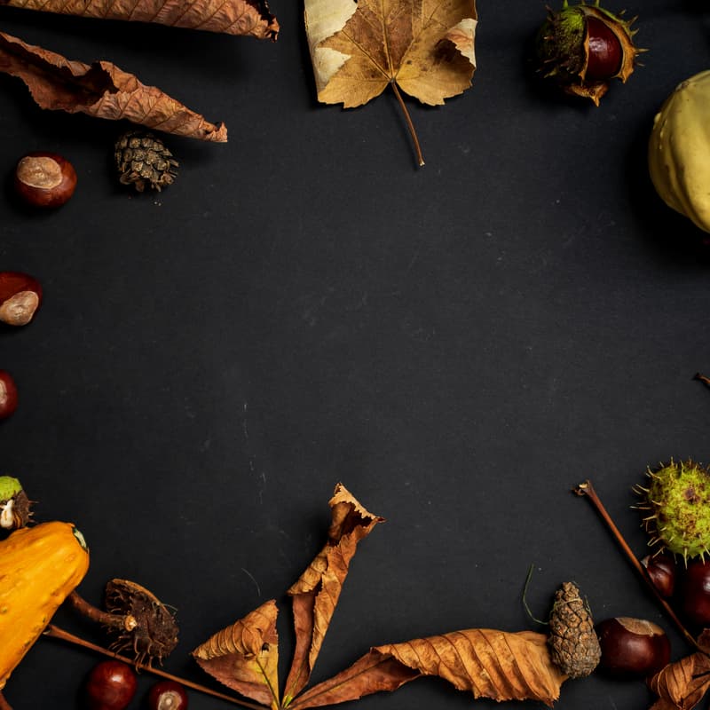 Cover Image for Friendsgiving in PR Potluck