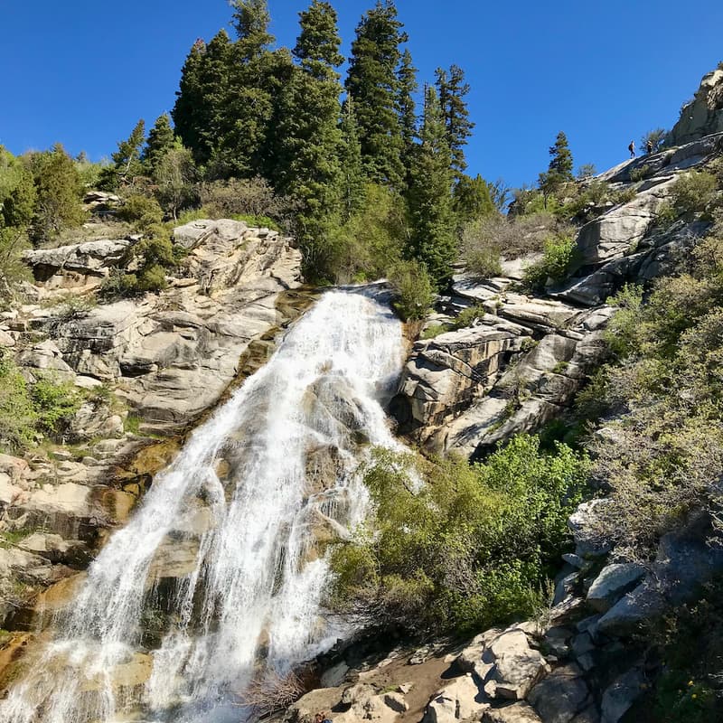 Cover Image for Networking in Nature Hike - Horsetail Falls