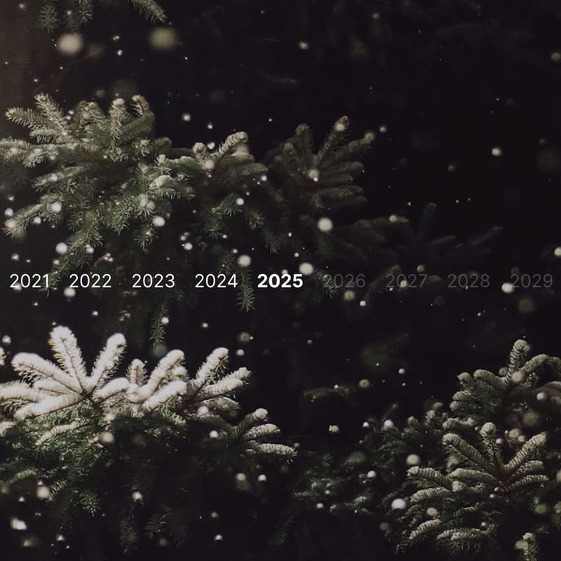 Cover Image for Div Zero 2025 Holiday Party