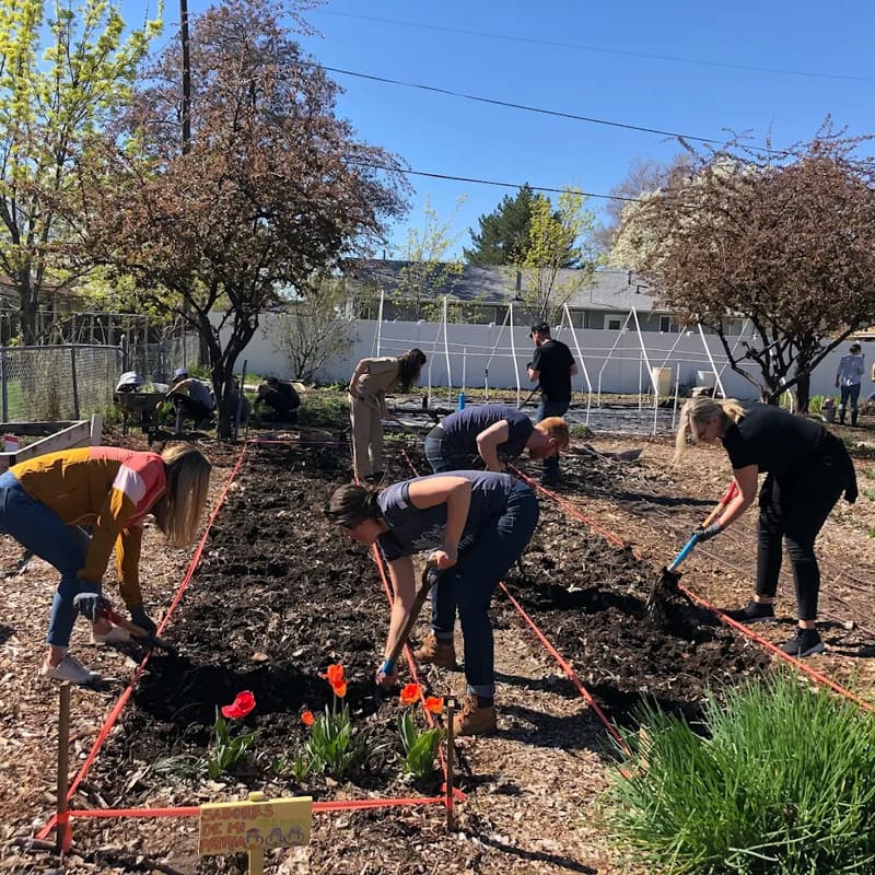 Cover Image for Community Garden Women's Service Project