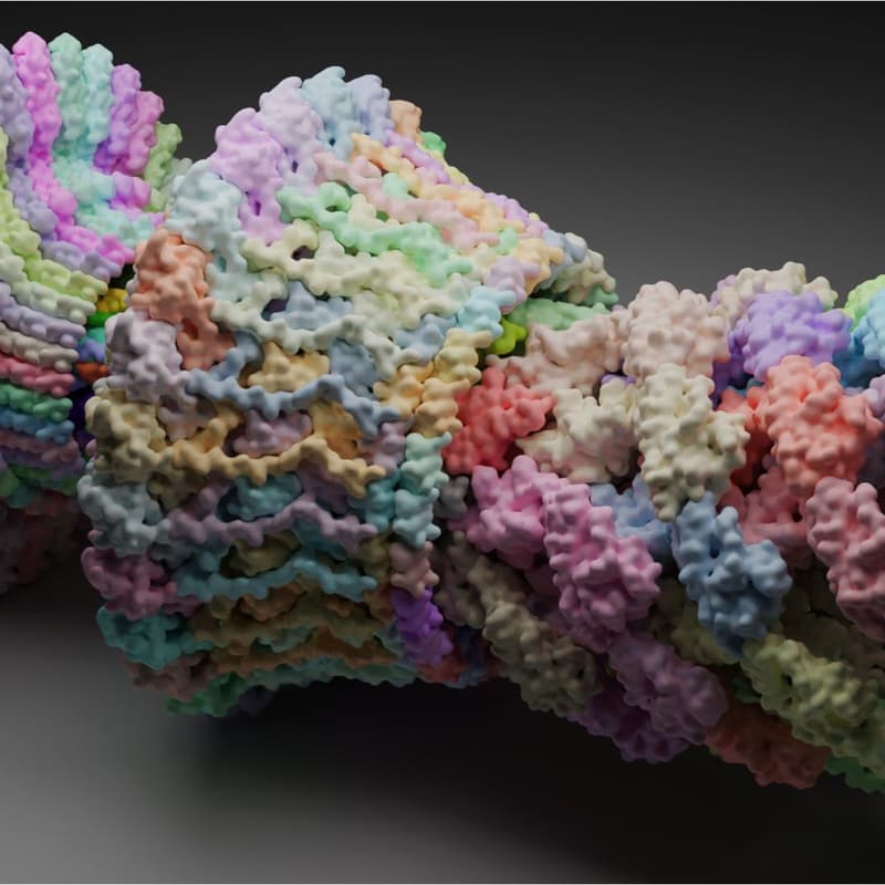 Cover Image for Molecular Nodes Workshop with Brady Johnston [In-person]