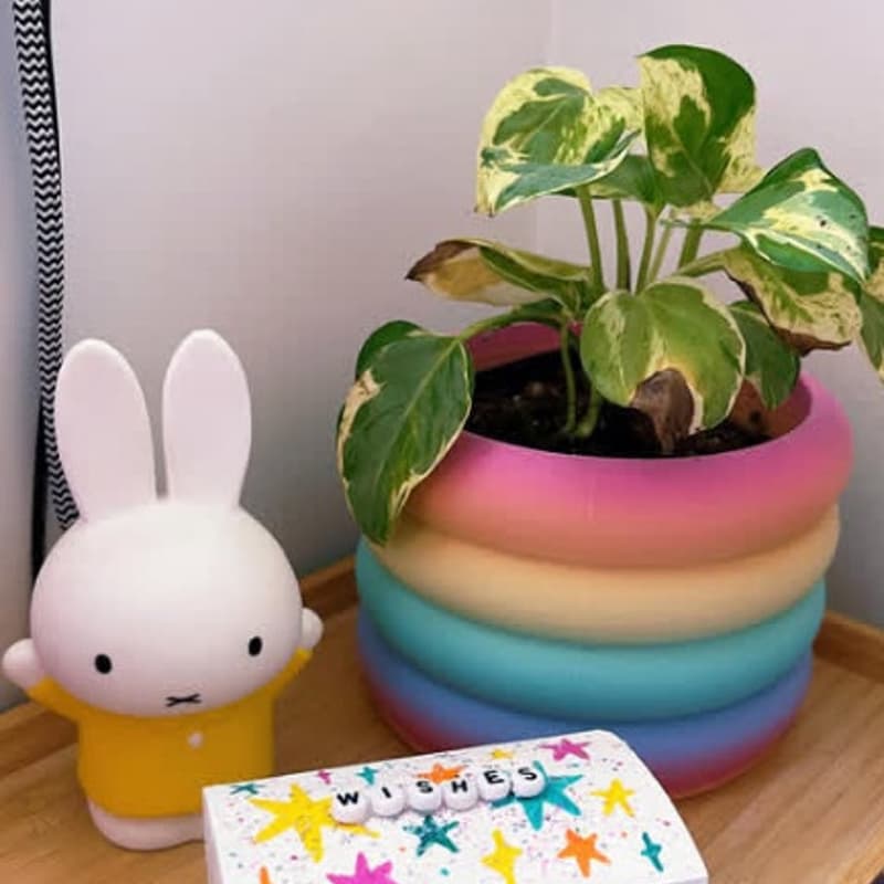 Cover Image for craft club: wish boxes