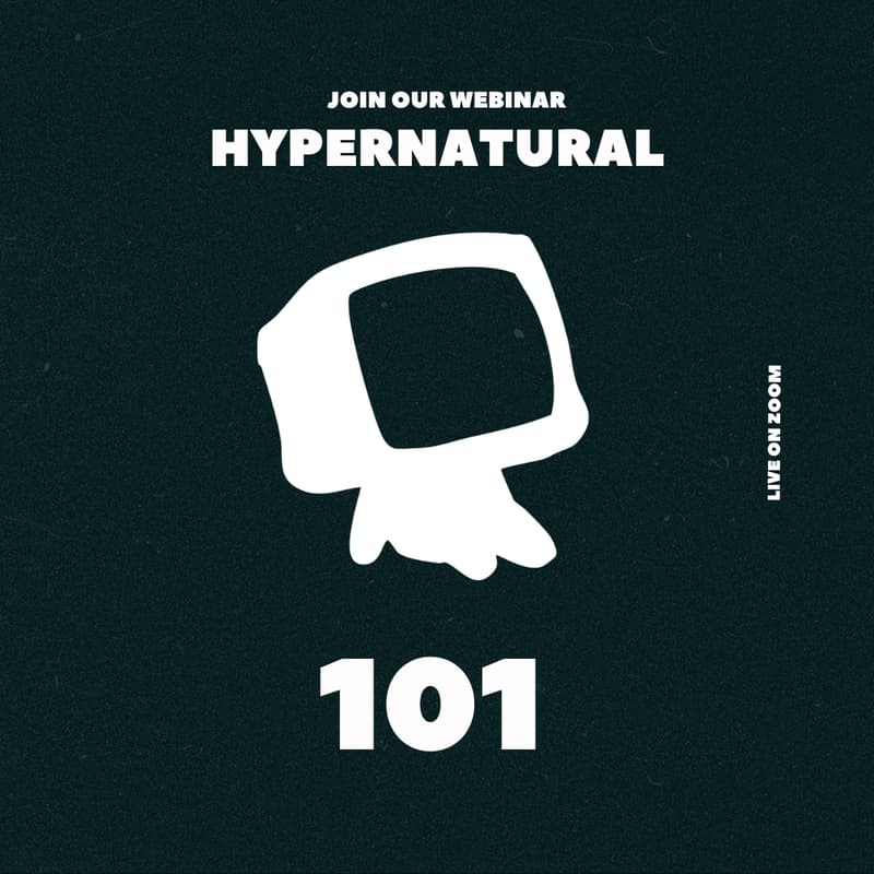 Cover Image for Hypernatural 101