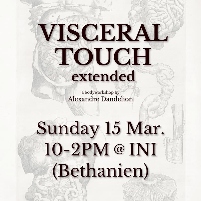 Cover Image for VISCERAL TOUCH extended @ INI (Bethanien)