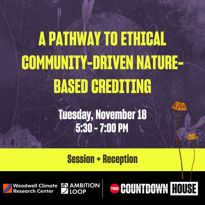 Cover Image for A pathway to ethical community-driven nature-based crediting