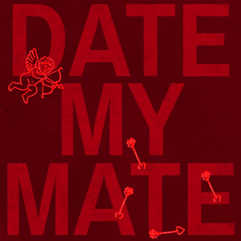 Cover Image for Date My Mate