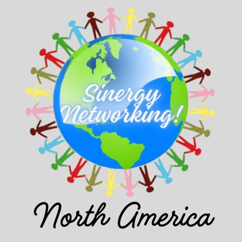 Cover Image for SINergy Networking North American