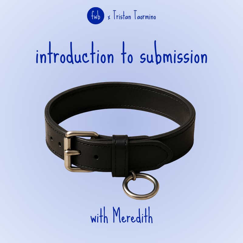 Cover Image for Workshop with Meredith