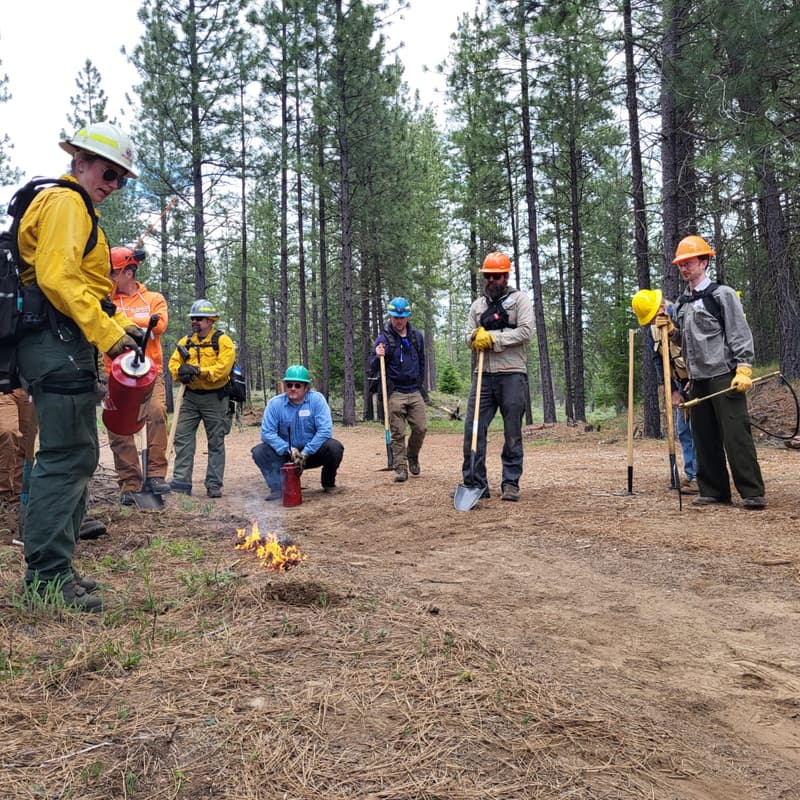 Cover Image for Wildland Firefighter Field Day Training (S-130)