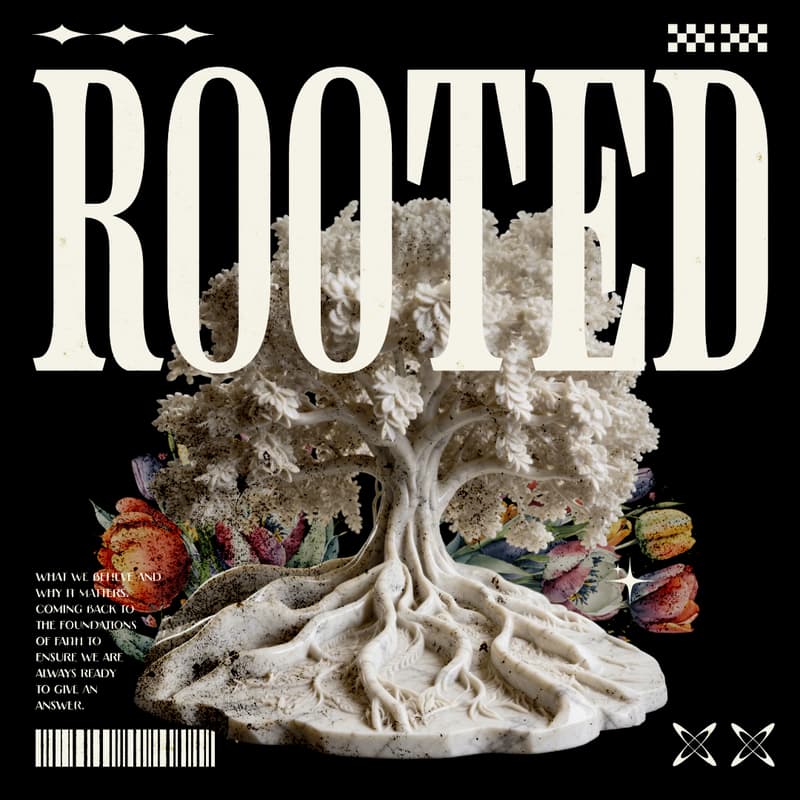 Cover Image for Rooted | What We Believe & Why it Matters