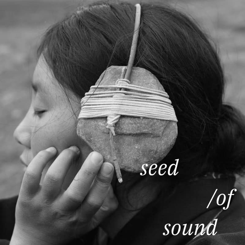 Cover Image for Seed of Sound