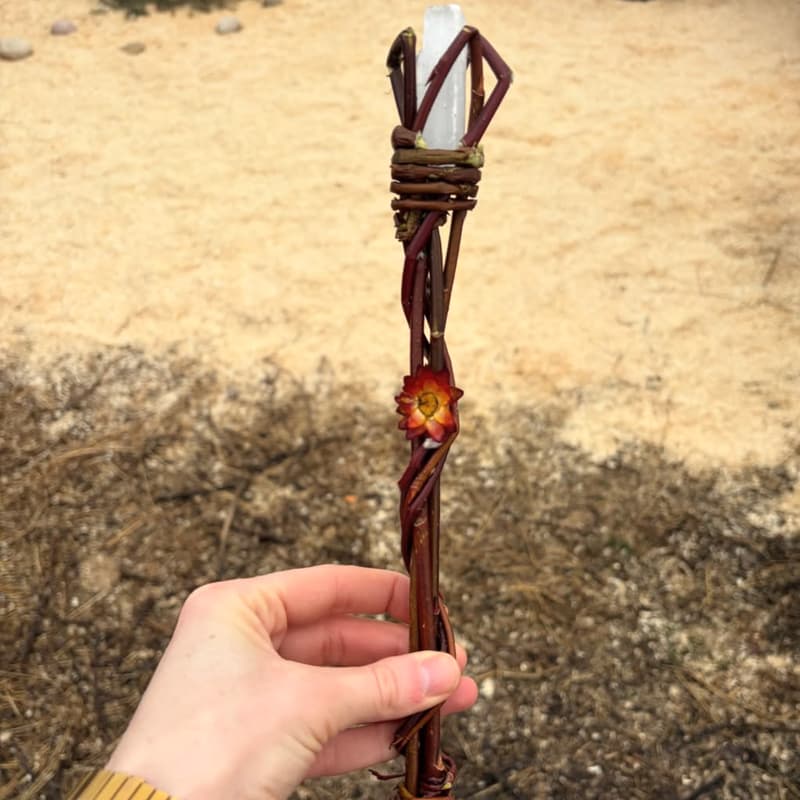 Cover Image for Willow Wands