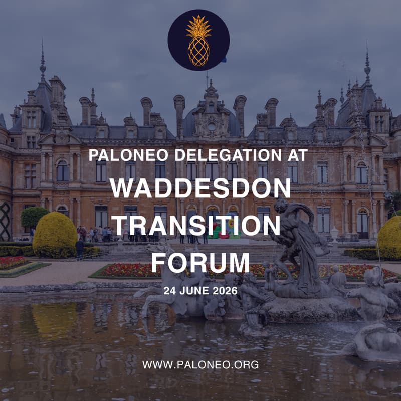 Cover Image for Paloneo Waddesdon Delegation