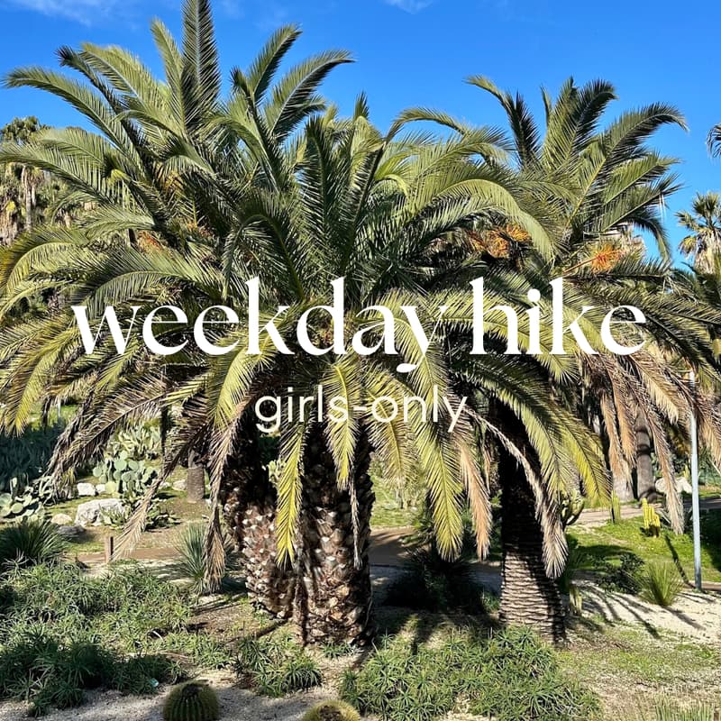 Cover Image for 6/5 Women's social hike 🌿🌸