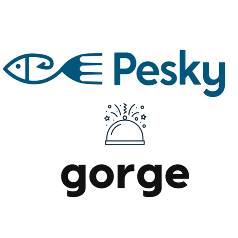 Cover Image for Pesky x Gorge - the February issue