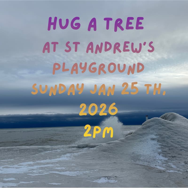 Cover Image for [POSTPONED] [Magical.Bingo Launch Party] hug a tree at St. Andrew's Playground