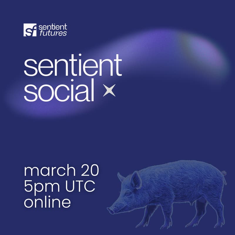 Cover Image for Sentient Social