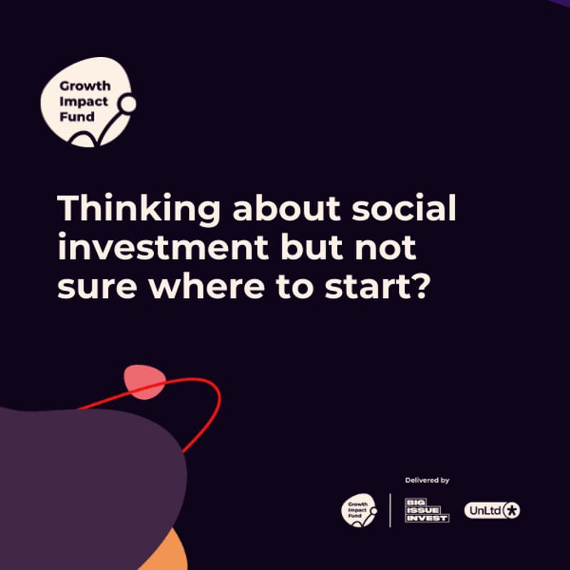 Cover Image for Demystifying Social Investment