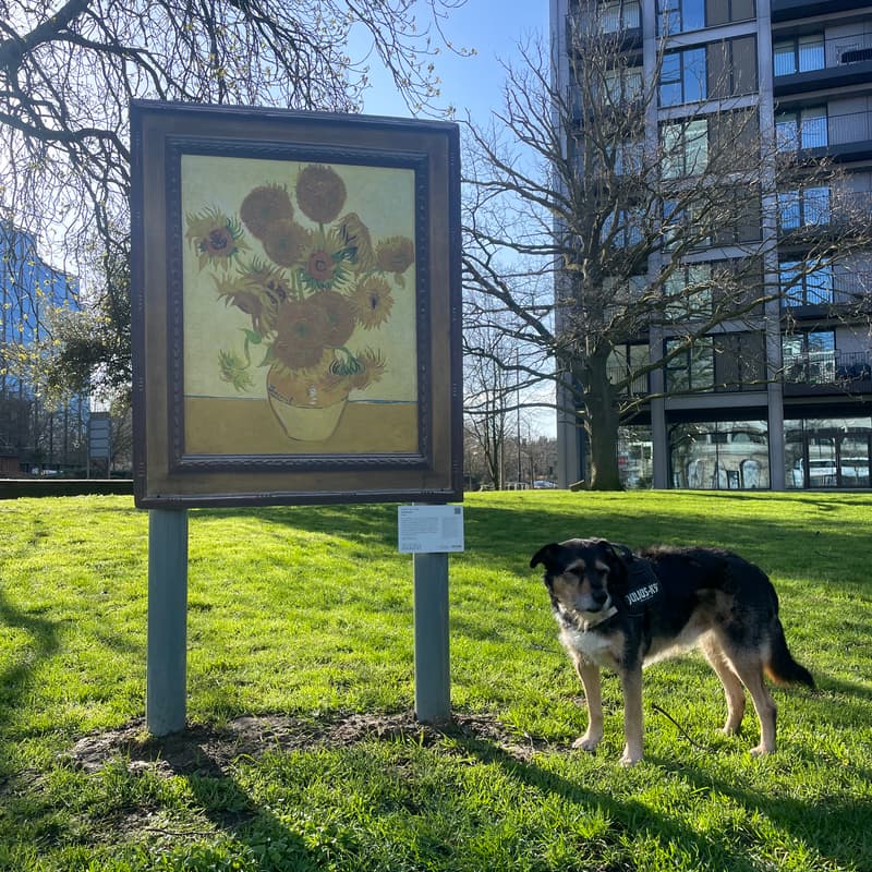 Cover Image for 'Art on Your Doorstep' - Community Dog Walk Croydon 🐾