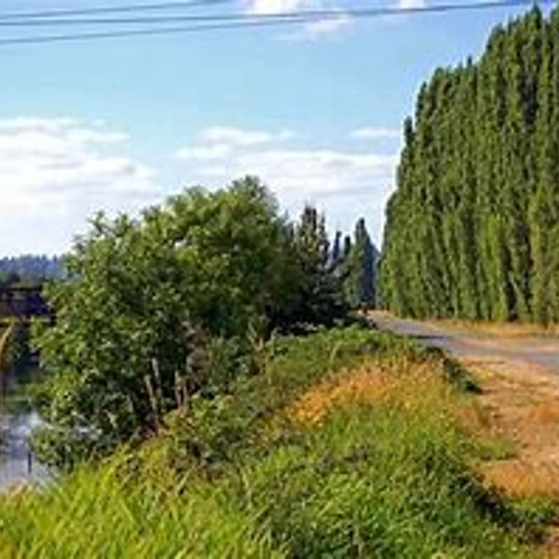 Cover Image for Eastside Girls Walk