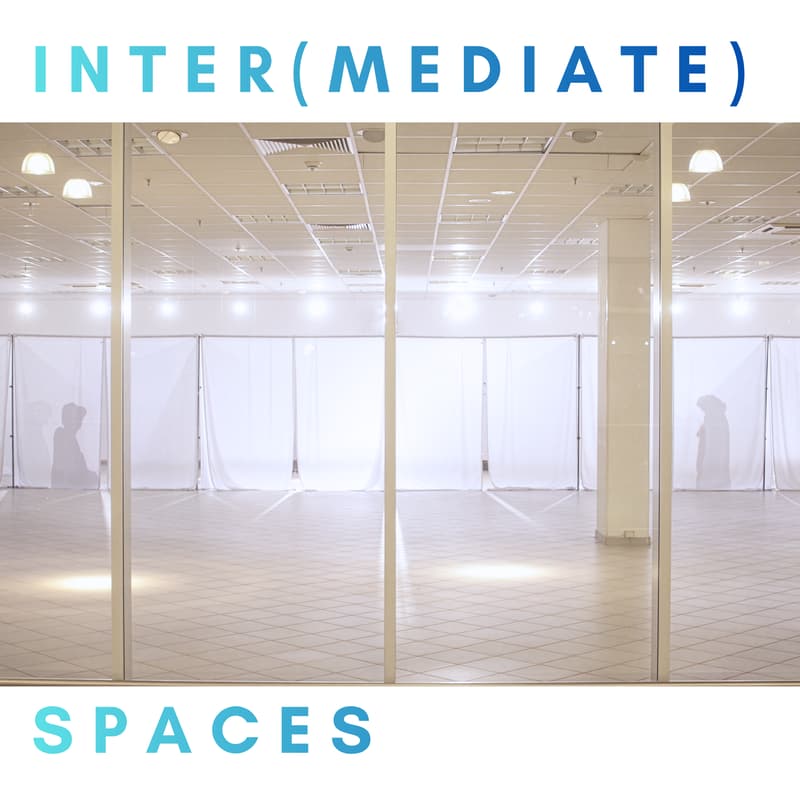 Cover Image for Inter(mediate) Spaces: Talk & Demo Presentation (NYC)