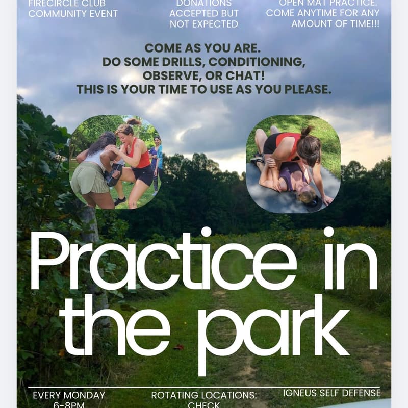 Cover Image for Practice in the Park