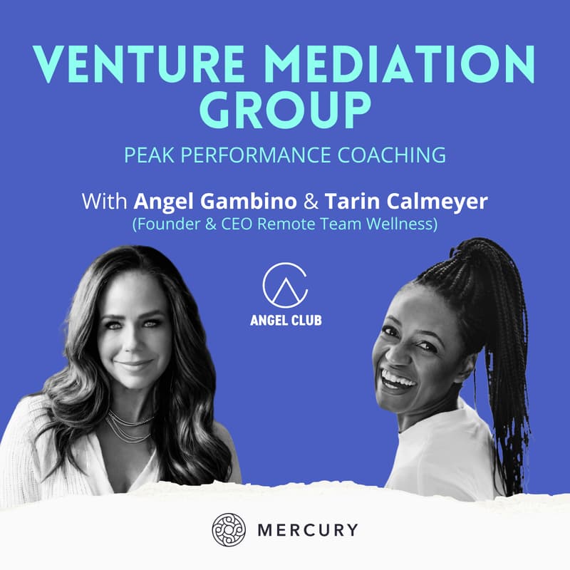 Cover Image for Venture Mediation Group