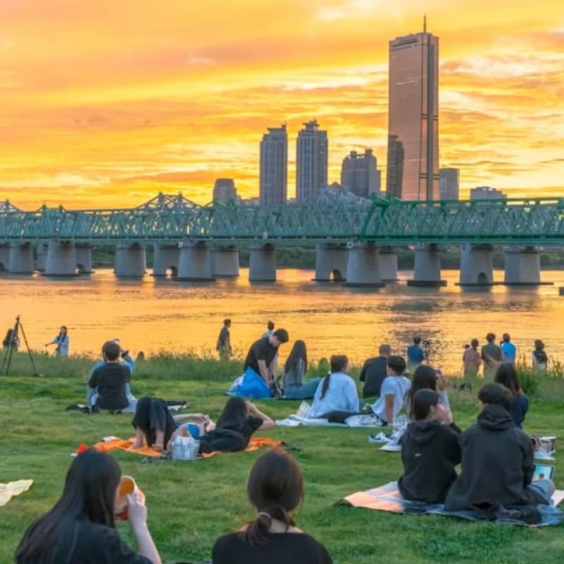 Cover Image for [PIKO - Seoul] Spring Potluck Picnic