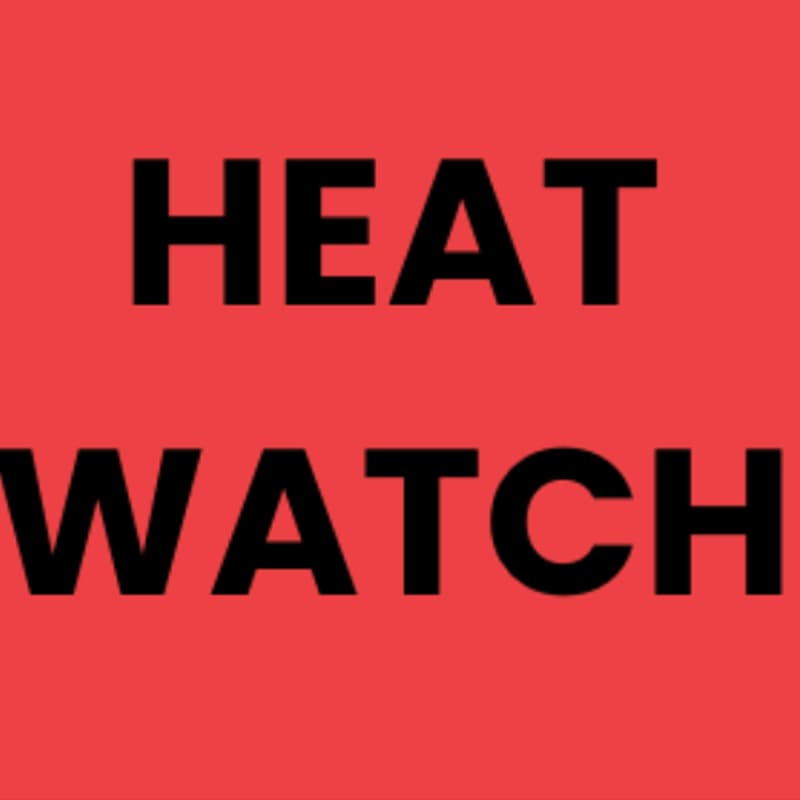 Cover Image for Heat and Gender at Work: New Evidence from Research on Women Gig Workers & Garment Workers in India