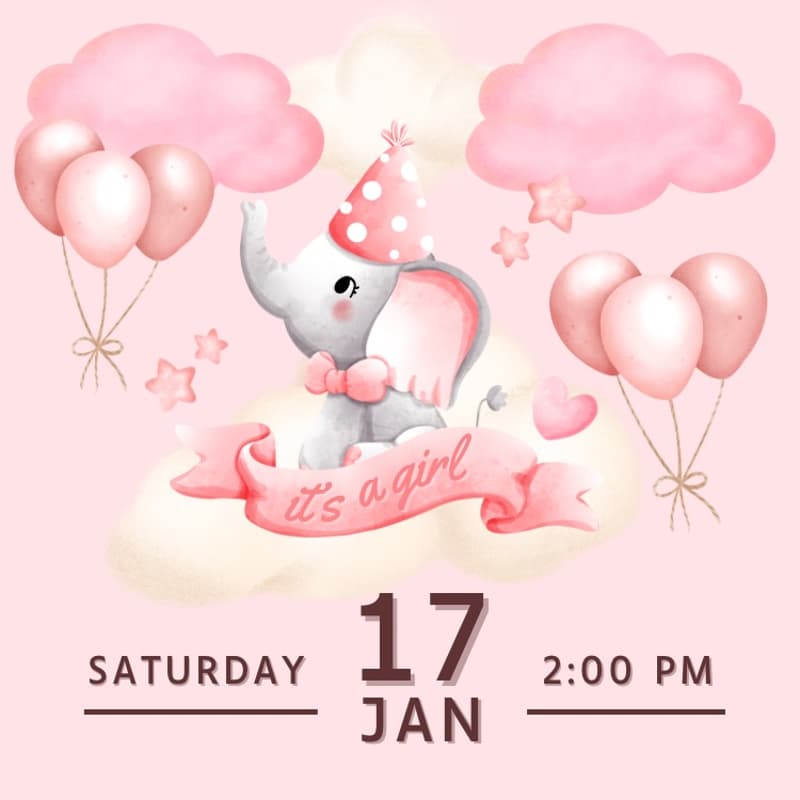 Cover Image for Ayla's Baby Shower