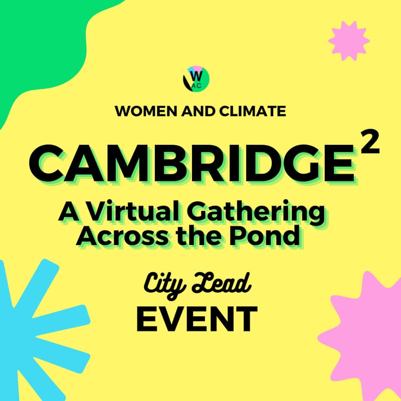 Cover Image for ✨💛 Cambridge^2 New Year Connection & Reflection | January 2025
