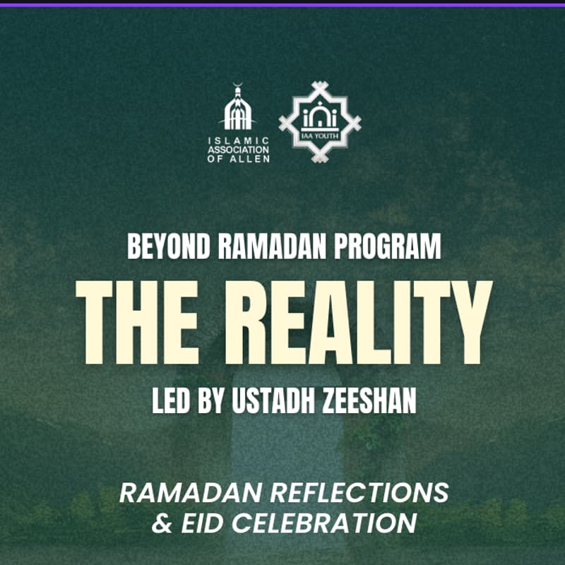 Cover Image for The Reality
