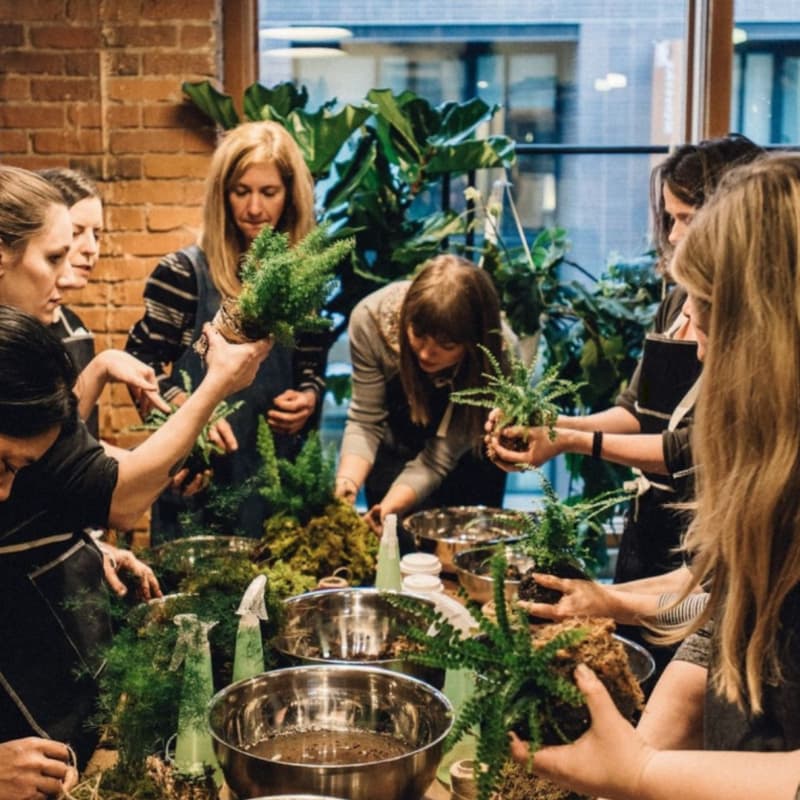 Cover Image for Modern Summertime High Tea + Kokedama Workshop with Glasswing & Kwento Tea