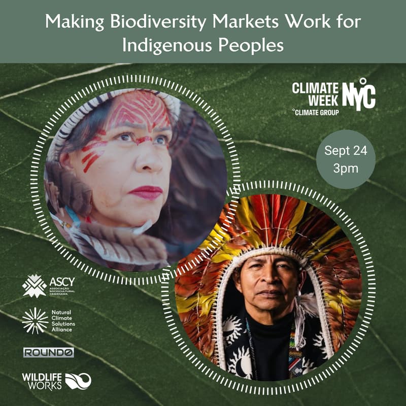 Cover Image for Making Biodiversity Markets Work for Indigenous Peoples