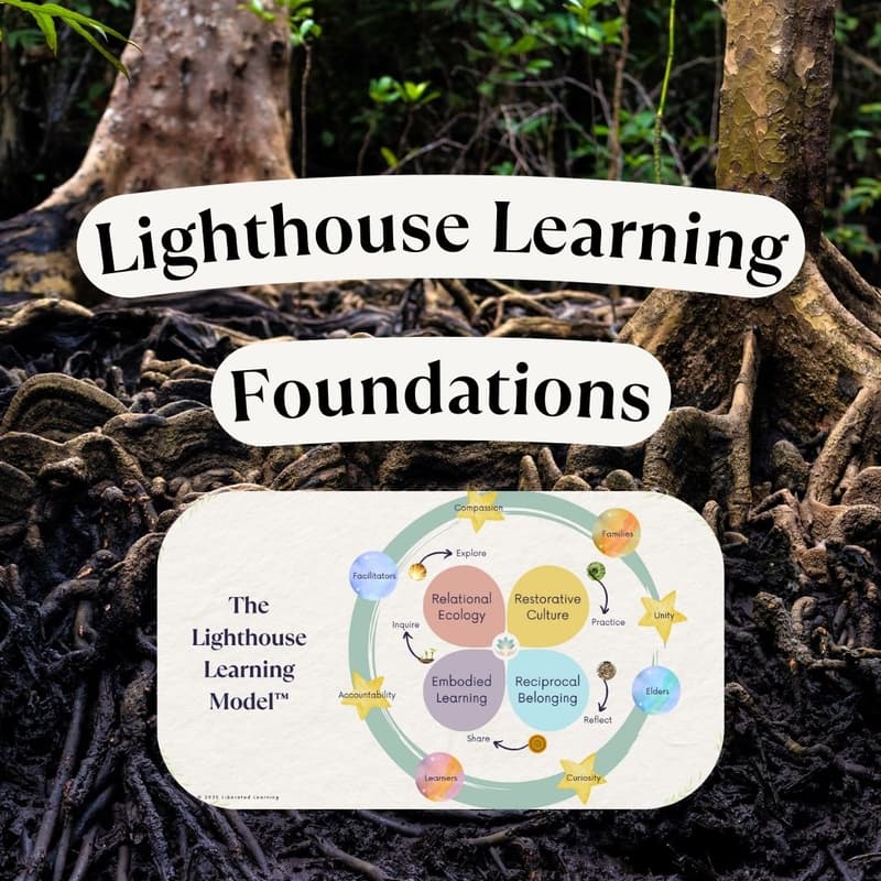 Cover Image for Lighthouse Learning Foundations Cohort