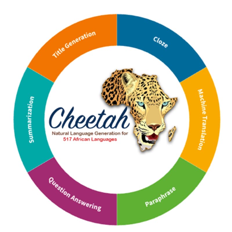 Cover Image for Research Saturday Week 9: Cheetah
