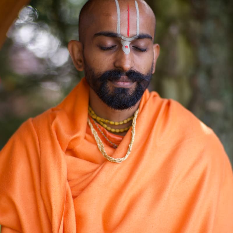 Cover Image for Conversations with Swami