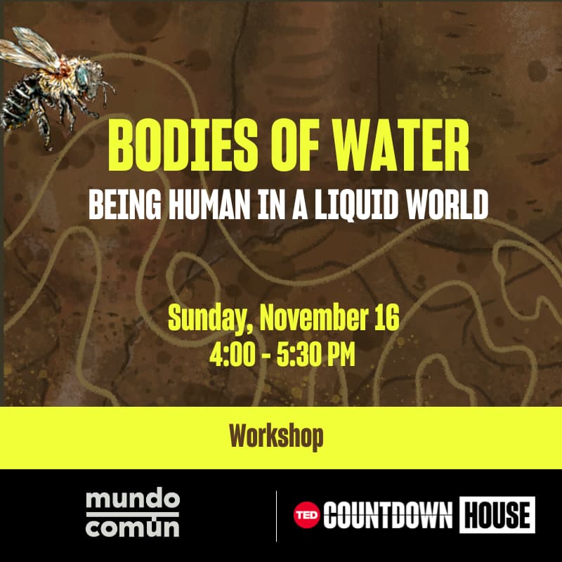 Cover Image for Bodies of Water: Being human in a liquid world